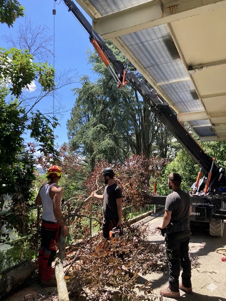 Grue en intervention