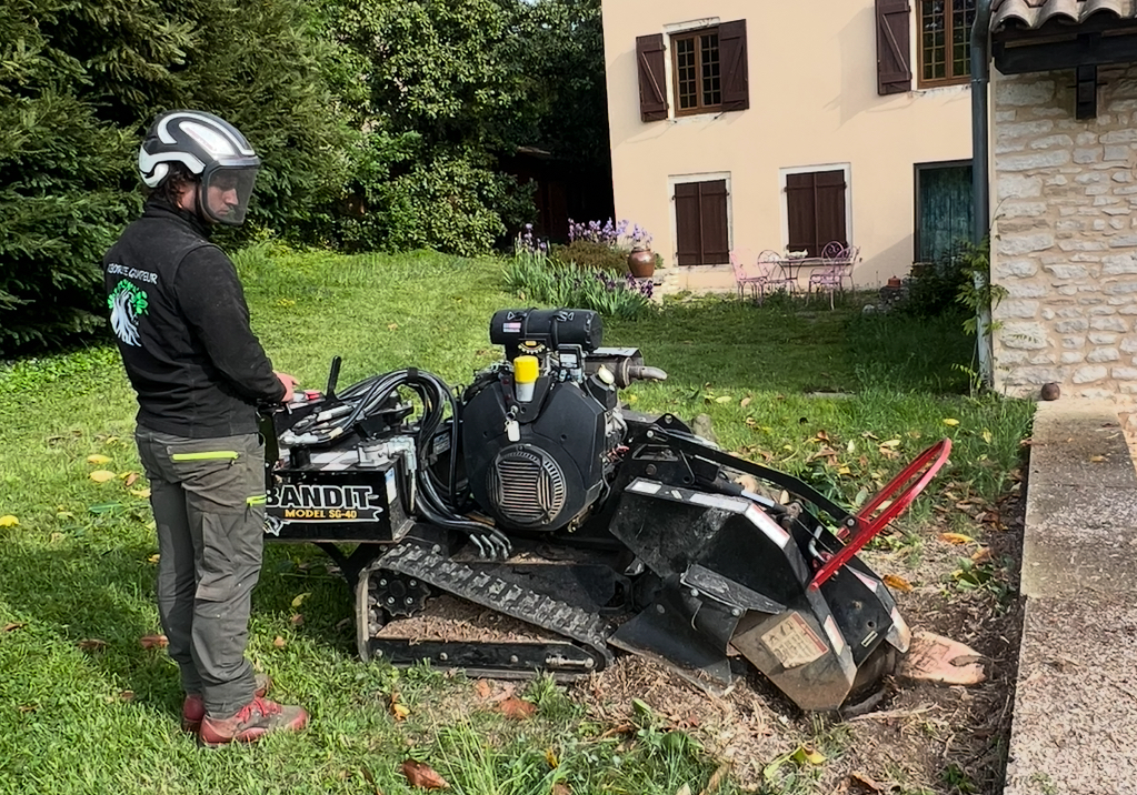 Rognage de souche en action
